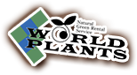 WORLD PLANTS - Natural Green Rental Service